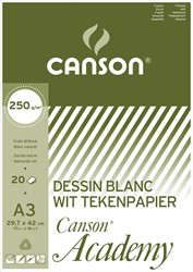 Canson tekenpapier Academy, 250 g, ft 29,7 x 42 cm, A3, blok van 20 vel