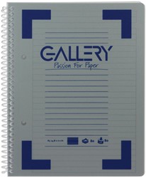 Gallery Traditional spiraalschrift ft A5, gelijnd, geassorteerde kleuren, 160 bladzijden