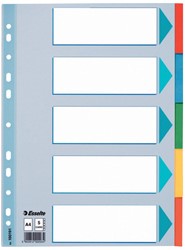 Esselte tabbladen, voor ft A4, uit karton, 5 tabs, geassorteerde kleuren