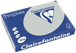 Clairefontaine Trophée Pastel, gekleurd papier, A3, 160 g, 250 vel, lichtgrijs