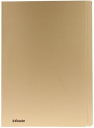 Esselte dossiermap geel, ft folio