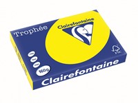 Clairefontaine Trophée Intens, gekleurd papier, A3, 160 g, 250 vel, zonnegeel