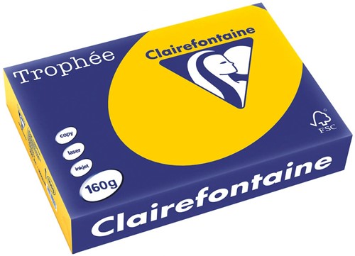 Clairefontaine Trophée Intens, gekleurd papier, A4, 160 g, 250 vel, zonnebloemgeel-2