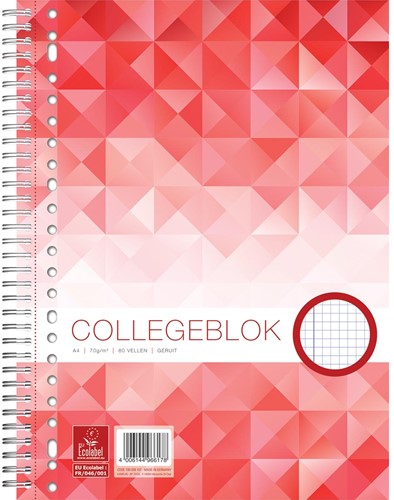 Work collegeblok A4 geruit 80 blz, 23-gaats