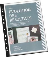 Viquel showalbum met  11-gaatsperforatie, ft A4, 20 tassen