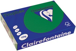 Clairefontaine Trophée Intens, gekleurd papier, A4, 120 g, 250 vel, dennengroen