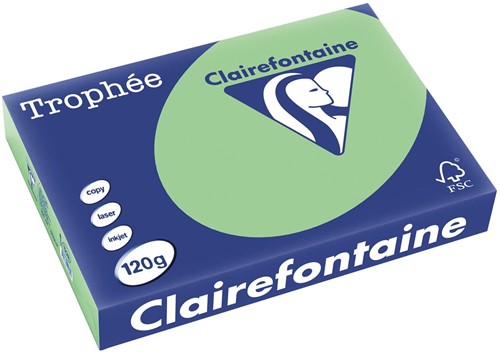 Clairefontaine Trophée Pastel, gekleurd papier, A4, 120 g, 250 vel, natuurgroen