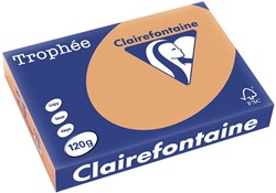 Clairefontaine Trophée Pastel, gekleurd papier, A4, 120 g, 250 vel, mokkabruin