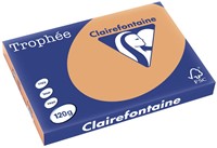 Clairefontaine Trophée Pastel, gekleurd papier, A3, 120 g, 250 vel, mokkabruin
