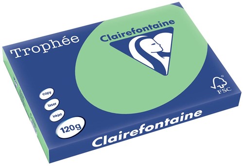 Clairefontaine Trophée Pastel, gekleurd papier, A3, 120 g, 250 vel, natuurgroen