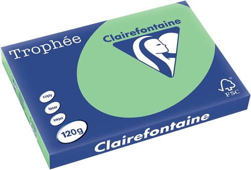 Clairefontaine Trophée Pastel, gekleurd papier, A3, 120 g, 250 vel, natuurgroen