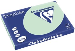 Clairefontaine Trophée Pastel, gekleurd papier, A3, 120 g, 250 vel, groen
