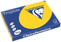 Clairefontaine Trophée Pastel, gekleurd papier, A3, 120 g, 250 vel, goudgeel