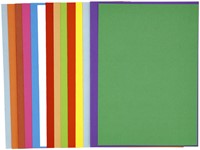 Vouwmap Exacompta ROCK'S A4 80g assorti 100 stuks-1