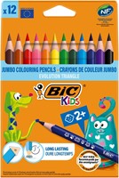 Kleurpotloden BicKids Evolution ecolutions triangle assorti 12 stuks