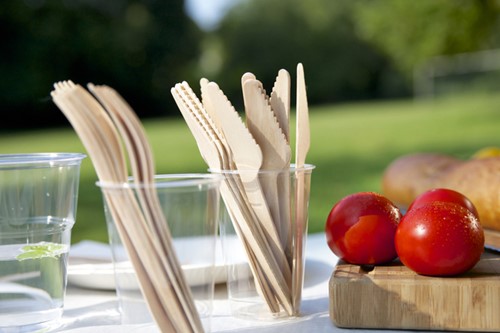 Vork IEZZY 160mm hout 100 stuks-3