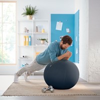 Actieve zitbal Leitz Ergo Cosy grijs-10
