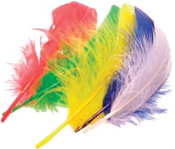 Bouhon pluimen 15 cm, 50 stuks