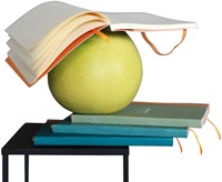 Notitieboek Rhodia A6 lijn 72 vel 90gr zwart-2