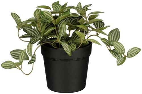 Kunstplant Mica Tradescantia in pot 16x16cm