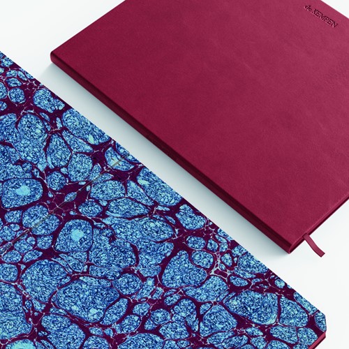 Notitieboek de KEMPEN Amarone 110x160mm blanco 160 pagina's 90gr drd-2