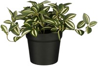 Kunstplant Mica Tradescantia in pot groen 16x16cm