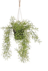 Kunstplant Mica Rhipsalis hangend in pot groen Ø9,5cm 40x20cm