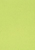 Gekleurd tekenpapier, 120 g, ft 21 x 29,7, A4, lichtgroen, pak van 500 vel