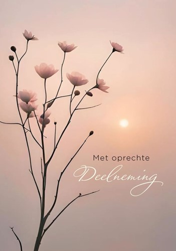 Wenskaart Hallmark condoleance bloemen pak à 6 stuks