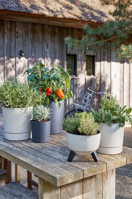 Set van 2 barstoelen HOPE kopen