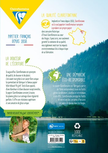 Clairefontaine ringbandinterieur Metric, ft A4, 9-gaatsperforatie, los, 100 bladzijden, seyès-2