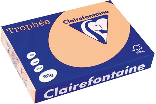Clairefontaine Trophée gekleurd papier, A4, 80 g, 500 vel, zalm