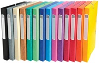 Exacompta Elastobox Cartobox rug van 2,5 cm, geassorteerde kleuren: groen, blauw, geel, rood, oranje, ...-2