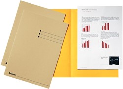 Esselte dossiermap gems, karton van 180 g/m², pak van 100 stuks