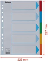 Tabbladen Esselte Standaard A4 5-delig karton 11-rings met voorblad assorti-2