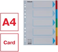 Tabbladen Esselte Standaard A4 5-delig karton 11-rings met voorblad assorti-3