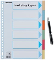 Tabbladen Esselte Premium A4 6-delig karton 23-rings assorti-10