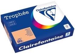 KOPIEERPAPIER TROPHEE CAMEL BRUIN A4 80 GRAM 500 VEL