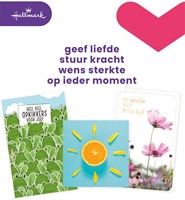 Hallmark navulset wenskaarten, beterschap/sterkte, pak van 12 stuks