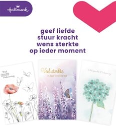 Hallmark navulset wenskaarten, deelneming, pak van 10 stuks