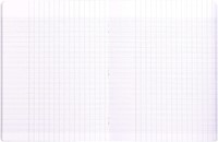 Clairefontaine schrift Mimesys voor ft A4+, 96 bladzijden, kaft in PP, seyès, blauw-2