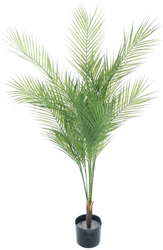 Areca palm in pot green 135cm