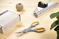 Huishoudschaar Westcott 210mm met softgrip titanium-3