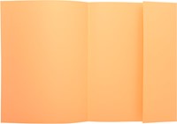 Exacompta dossiermap Super 210, pak van 50 stuks, gems