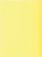 Exacompta dossiermap Super 180, voor ft A4, pak van 100 stuks, geel-2