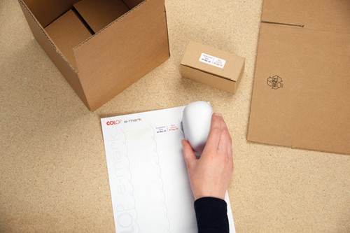 Label Colop E-mark 48x18mm 300 stuks wit-3