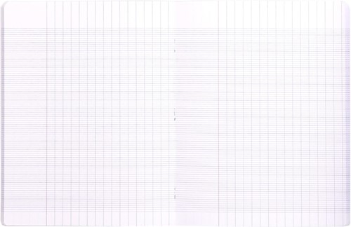 Clairefontaine schrift Mimesys voor ft A4+, 96 bladzijden, kaft in PP, seyès, grijs-2