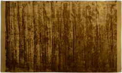 Tammo Vloerkleed 200X300Cm Honinggeel