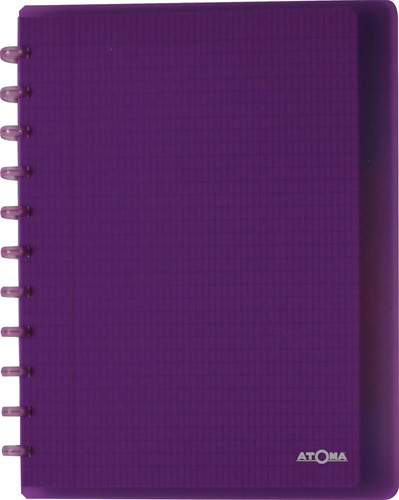Atoma Trendy schrift, ft A4 +, 120 bladzijden, commercieel geruit, met 6 tabbladen en 5 showtassen, in ge-3