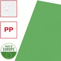 Insteekmap L-model Esselte standaard A4 0.11mm PP groen 100 stuks-10